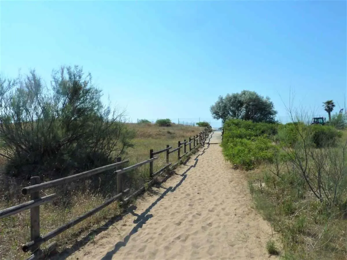 Apartment In Lido Di Jesolo 24800